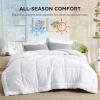 imageBedsure Comforters Queen Size Duvet Insert All Season Bed Comforter Quilted Down Alternative Duvet Box Stitched Comforter with Corner Tabs Machine Washable 88 x 88 Inches WhiteWhite