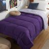 imageBedsure Comforters Queen Size Duvet Insert All Season Bed Comforter Quilted Down Alternative Duvet Box Stitched Comforter with Corner Tabs Machine Washable 88 x 88 Inches WhitePurplePale Purple