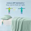 imageBedsure Duvet Cover Cooling Blanket for Hot Sleepers Queen Size Soft ampamp Breathable for Night Sweats AllSeason Lightweight GentleSoft Cooling Comforter Cover Set IceCool Fabric 90x90 Beige03  Green No Comforter