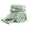 imageBedsure Floral White Quilt Set  Queen Size Reversible Quilt Bedding Set 3 Pieces Lightweight Bedspread Soft Botanical Bed Coverlet with 2 Pillow Shams for All Seasons 90quotx96quot10  Green