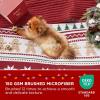 imageBedsure Floral White Quilt Set  Queen Size Reversible Quilt Bedding Set 3 Pieces Lightweight Bedspread Soft Botanical Bed Coverlet with 2 Pillow Shams for All Seasons 90quotx96quot26  Gingerbread Man