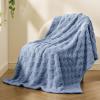 imageBedsure GentleSoft Sage Green Throw Blanket for Couch  Checkered Fleece Blankets Gifts for Women Men Girls Cute Soft Cozy Throw for Bedroom Home Decor Gifts 50x60 InchesAshley Blue