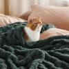 imageBedsure GentleSoft Sage Green Throw Blanket for Couch  Checkered Fleece Blankets Gifts for Women Men Girls Cute Soft Cozy Throw for Bedroom Home Decor Gifts 50x60 InchesMallard Green