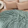 imageBedsure GentleSoft Sage Green Throw Blanket for Couch  Checkered Fleece Blankets Gifts for Women Men Girls Cute Soft Cozy Throw for Bedroom Home Decor Gifts 50x60 InchesSage Green