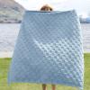 imageBedsure GentleSoft Sage Green Throw Blanket for Couch  Checkered Fleece Blankets Gifts for Women Men Girls Cute Soft Cozy Throw for Bedroom Home Decor Gifts 50x60 InchesSea Blue