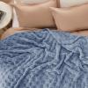 imageBedsure GentleSoft Sage Green Throw Blanket for Couch  Checkered Fleece Blankets Gifts for Women Men Girls Cute Soft Cozy Throw for Bedroom Home Decor Gifts 50x60 InchesAshley Blue