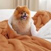 imageBedsure GentleSoft Sherpa Fleece Blankets Queen Size for Bed  Thick and Warm Soft Fuzzy Plush Queen Blanket for Winter Navy 90x90 Inches0  Burnt Orange