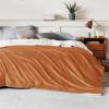 imageBedsure GentleSoft Sherpa Fleece Blankets Queen Size for Bed  Thick and Warm Soft Fuzzy Plush Queen Blanket for Winter Navy 90x90 Inches0  Burnt Orange