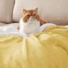 imageBedsure GentleSoft Sherpa Fleece Blankets Queen Size for Bed  Thick and Warm Soft Fuzzy Plush Queen Blanket for Winter Navy 90x90 Inches0  Yellow