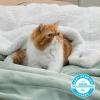 imageBedsure GentleSoft Sherpa Fleece Blankets Queen Size for Bed  Thick and Warm Soft Fuzzy Plush Queen Blanket for Winter Navy 90x90 Inches04  Sage Green