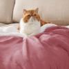imageBedsure GentleSoft Sherpa Fleece Blankets Queen Size for Bed  Thick and Warm Soft Fuzzy Plush Queen Blanket for Winter Navy 90x90 Inches07  Dusty Rose
