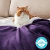 imageBedsure GentleSoft Sherpa Fleece Blankets Queen Size for Bed  Thick and Warm Soft Fuzzy Plush Queen Blanket for Winter Navy 90x90 Inches08  Purple