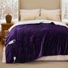 imageBedsure Heated Blanket Throw Blanket  Fast Heating Electric Blanket GentleSoft Flannel Heated Throw with 4 Time Settings 6 Heating Settings Warm Gifts for Grandma 50x60 inches Grey13  Purple