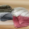 imageBedsure Heated Blanket Throw Blanket  Fast Heating Electric Blanket GentleSoft Flannel Heated Throw with 4 Time Settings 6 Heating Settings Warm Gifts for Grandma 50x60 inches Grey16  Ivory