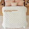 imageBedsure Heated Blanket Throw Blanket  Fast Heating Electric Blanket GentleSoft Flannel Heated Throw with 4 Time Settings 6 Heating Settings Warm Gifts for Grandma 50x60 inches Grey16  Ivory