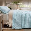 imageBedsure King Quilt Set  Ultra Soft Quilt Bedding Set for Green Bedroom Decor Lightweight AllSeason King Size Comforter with 2 Pillow Shams Dark Green Summer Bedspread Coverlet 106x96 Inch02  Sky Blue  Clover