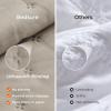 imageBedsure King Quilt Set  Ultra Soft Quilt Bedding Set for Green Bedroom Decor Lightweight AllSeason King Size Comforter with 2 Pillow Shams Dark Green Summer Bedspread Coverlet 106x96 Inch14  Taupe  Clover