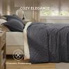 imageBedsure King Quilt Set  Ultra Soft Quilt Bedding Set for Green Bedroom Decor Lightweight AllSeason King Size Comforter with 2 Pillow Shams Dark Green Summer Bedspread Coverlet 106x96 Inch10  Charcoal  Clover