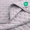 imageBedsure King Quilt Set  Ultra Soft Quilt Bedding Set for Green Bedroom Decor Lightweight AllSeason King Size Comforter with 2 Pillow Shams Dark Green Summer Bedspread Coverlet 106x96 Inch05  Purple  Clover