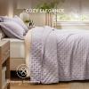 imageBedsure King Quilt Set  Ultra Soft Quilt Bedding Set for Green Bedroom Decor Lightweight AllSeason King Size Comforter with 2 Pillow Shams Dark Green Summer Bedspread Coverlet 106x96 Inch05  Purple  Clover