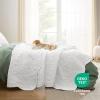 imageBedsure King Quilt Set  Ultra Soft Quilt Bedding Set for Green Bedroom Decor Lightweight AllSeason King Size Comforter with 2 Pillow Shams Dark Green Summer Bedspread Coverlet 106x96 Inch19  Pure White  Leaf