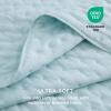 imageBedsure King Quilt Set  Ultra Soft Quilt Bedding Set for Green Bedroom Decor Lightweight AllSeason King Size Comforter with 2 Pillow Shams Dark Green Summer Bedspread Coverlet 106x96 Inch02  Sky Blue  Clover