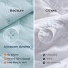 imageBedsure King Quilt Set  Ultra Soft Quilt Bedding Set for Green Bedroom Decor Lightweight AllSeason King Size Comforter with 2 Pillow Shams Dark Green Summer Bedspread Coverlet 106x96 Inch02  Sky Blue  Clover