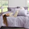 imageBedsure Queen Comforter Set  7 Pieces Sage Green Queen Bedding Set for All Seasons Boho Contrasting Design Bed in a Bag with Comforter Sheets Pillowcases ampamp Shams09  LavenderGrayish Purple