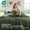 imageBedsure Queen Comforter Set  7 Pieces Sage Green Queen Bedding Set for All Seasons Boho Contrasting Design Bed in a Bag with Comforter Sheets Pillowcases ampamp Shams08  Olive GreenSage Green