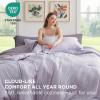 imageBedsure Queen Comforter Set  7 Pieces Sage Green Queen Bedding Set for All Seasons Boho Contrasting Design Bed in a Bag with Comforter Sheets Pillowcases ampamp Shams09  LavenderGrayish Purple