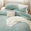 imageBedsure Queen Comforter Set 5 Pieces  Bed in a Bag with Checkered Throw Blanket and Decorative Pillow Lightweight Bedding Comforter Sets All Season Boho Bedding Linen Beige04  Sage Green Chenille