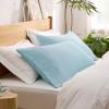 imageBedsure Queen Pillow Cases Set of 2  Dark Grey Double Brushed Microfiber Pillowcases 2 Pack Super Soft Cooling Pillow Case Covers with Envelope Closure Wrinkle Fade and Stain Resistant 20x3017  Winter Sky