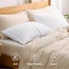 imageBedsure Queen Pillow Cases Set of 2  Dark Grey Double Brushed Microfiber Pillowcases 2 Pack Super Soft Cooling Pillow Case Covers with Envelope Closure Wrinkle Fade and Stain Resistant 20x3002  White