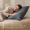 imageBedsure Queen Pillow Cases Set of 2  Dark Grey Double Brushed Microfiber Pillowcases 2 Pack Super Soft Cooling Pillow Case Covers with Envelope Closure Wrinkle Fade and Stain Resistant 20x3001  Dark Grey
