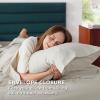 imageBedsure 100 Cotton Percale Sheets Queen Size Queen Sheet Set with Deep Pocket Up to 16 Inches Breathable ampamp Crirsp Soft Bedsheet ampamp Pillowcase Sets 4 Pieces White07  Sky Blue
