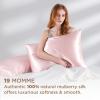 imageBedsure 100 Mulberry Silk Pillowcase for Hair and Skin Pink Silk Pillow Case with Hidden Zipper Gifts for Women Queen Size Single Pack20x30 Inches01  Pink