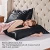 imageBedsure 100 Mulberry Silk Pillowcase for Hair and Skin Pink Silk Pillow Case with Hidden Zipper Gifts for Women Queen Size Single Pack20x30 Inches03  Black