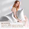 imageBedsure 100 Mulberry Silk Pillowcase for Hair and Skin Pink Silk Pillow Case with Hidden Zipper Gifts for Women Queen Size Single Pack20x30 Inches04  Light Grey