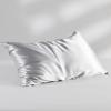 imageBedsure 100 Mulberry Silk Pillowcase for Hair and Skin Pink Silk Pillow Case with Hidden Zipper Gifts for Women Queen Size Single Pack20x30 Inches04  Light Grey