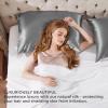 imageBedsure 100 Mulberry Silk Pillowcase for Hair and Skin Pink Silk Pillow Case with Hidden Zipper Gifts for Women Queen Size Single Pack20x30 Inches05  Grey