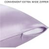 imageBedsure 100 Mulberry Silk Pillowcase for Hair and Skin Pink Silk Pillow Case with Hidden Zipper Gifts for Women Queen Size Single Pack20x30 Inches07  Purple