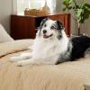 imageBedsure 100 Waterproof Couch Cover for Dogs Washable  Non Slip Waterproof Dog Blanket for Couch Sofa Lightweight Furniture Protector Durable for Pet Cat Puppy with NonSlip Bottom Grey 30x70INSand Beige