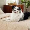 imageBedsure 100 Waterproof Couch Cover for Dogs Washable  Non Slip Waterproof Dog Blanket for Couch Sofa Lightweight Furniture Protector Durable for Pet Cat Puppy with NonSlip Bottom Grey 30x70INSand Beige