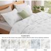 imageBedsure Botanical Floral Quilt Queen Size for Modern Farmhouse Decor Luxurious Summer Bedding Set Super Soft Bedspread Queen Size Lightweight Comforter with 2 Pillow Shams Blue 90x96 InchWhite