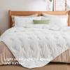 imageBedsure Botanical Floral Quilt Queen Size for Modern Farmhouse Decor Luxurious Summer Bedding Set Super Soft Bedspread Queen Size Lightweight Comforter with 2 Pillow Shams Blue 90x96 InchWhite
