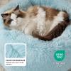 imageBedsure Calming Cat Beds for Indoor Cats  Small Cat Bed Washable 20 inches AntiSlip Round Fluffy Plush Faux Fur Pet Bed Fits up to 15 lbs Pets Aqua BlueAqua Blue