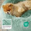 imageBedsure Calming Cat Beds for Indoor Cats  Small Cat Bed Washable 20 inches AntiSlip Round Fluffy Plush Faux Fur Pet Bed Fits up to 15 lbs Pets Aqua BlueApple Green