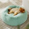 imageBedsure Calming Cat Beds for Indoor Cats  Small Cat Bed Washable 20 inches AntiSlip Round Fluffy Plush Faux Fur Pet Bed Fits up to 15 lbs Pets Aqua BlueApple Green