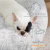 imageBedsure Calming Cat Beds for Indoor Cats  Small Cat Bed Washable 20 inches AntiSlip Round Fluffy Plush Faux Fur Pet Bed Fits up to 15 lbs Pets Aqua BlueFrost Grey