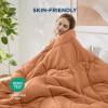 imageBedsure Comforters Queen Size  Down Alternative Comforter for All Season UltraSoft Prewashed Duvet with 4 Tabs Lightweight ampamp Warm Bedding  Machine Washable Linen Queen 88x88 InchesBurnt Orange